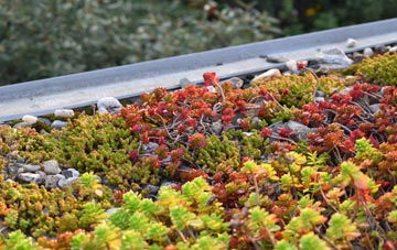the cost of Bishop Monkton green roof installation