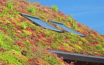 Bishop Monkton living roof systems