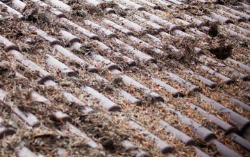 Bishop Monkton roof cleaning companies